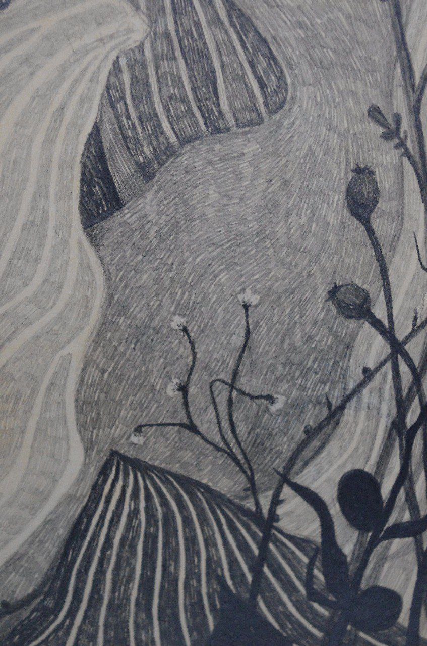 Небесное молоко