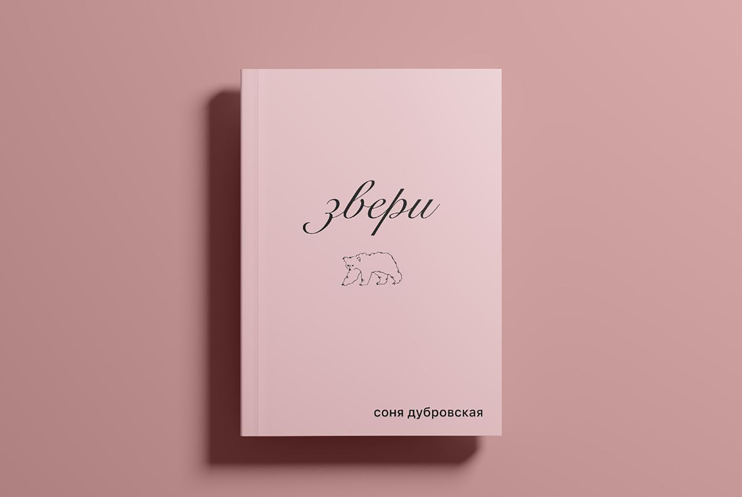 на окраине белых суток (стихи из книги «Звери»)